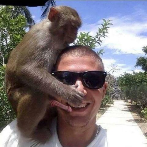 monkeyaround.jpg
